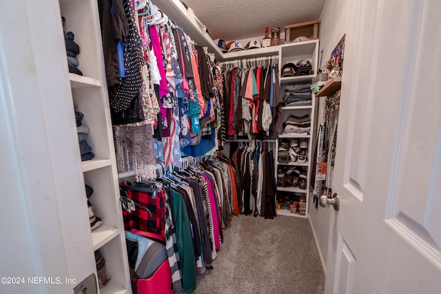 spacious closet with carpet