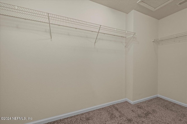 walk in closet with carpet