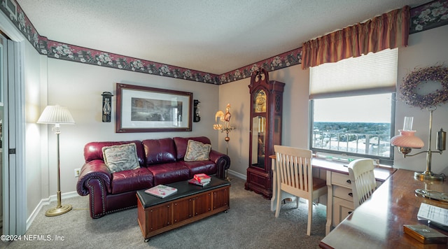 office space featuring a textured ceiling and carpet flooring