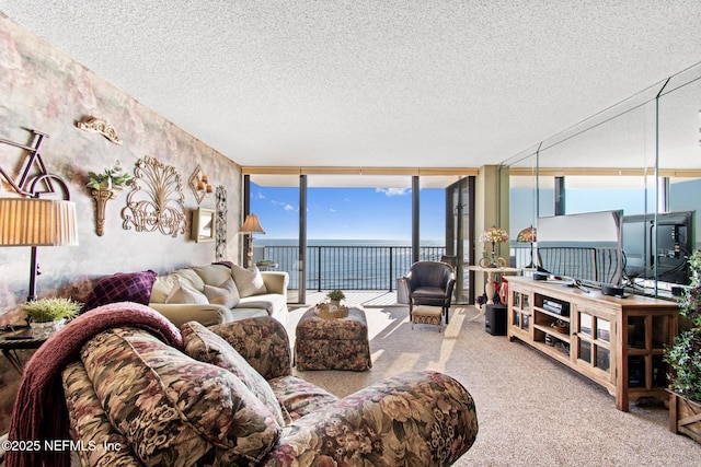 1301 1st St S Unit 1202, Jacksonville Beach, FL 32250 - carpeted living room featuring a wall of windows and a textured ceiling