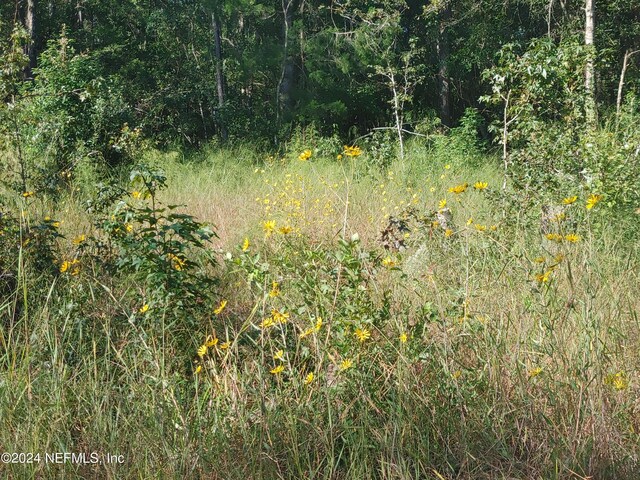 6740 Sycamore St, Jacksonville, FL 32219 - photo 38