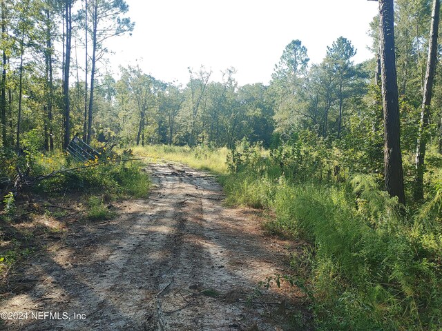6740 Sycamore St, Jacksonville, FL 32219 - photo 29