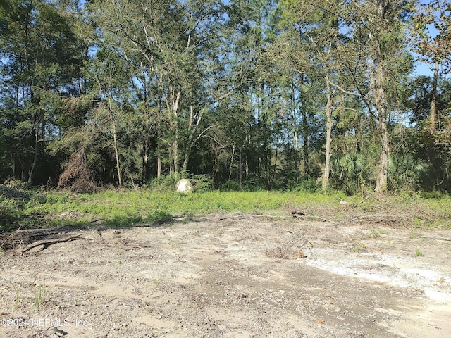 6740 Sycamore St, Jacksonville, FL 32219 - photo 10