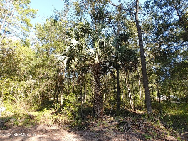 6740 Sycamore St, Jacksonville, FL 32219 - photo 25