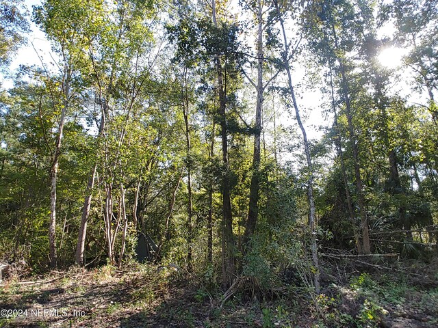 6740 Sycamore St, Jacksonville, FL 32219 - photo 26