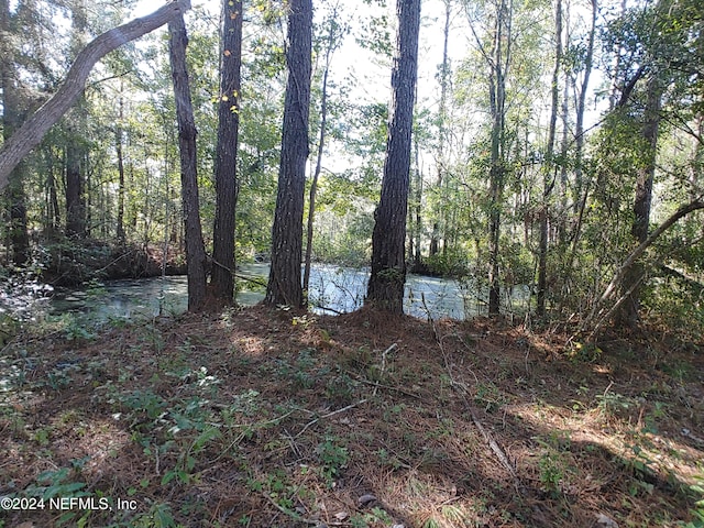 6740 Sycamore St, Jacksonville, FL 32219 - photo 17
