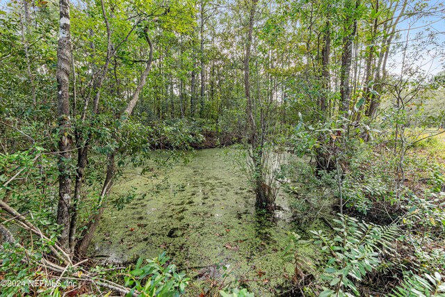 6740 Sycamore St, Jacksonville, FL 32219 - photo 50