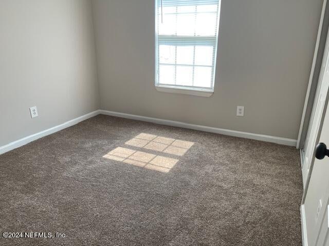 spare room with carpet