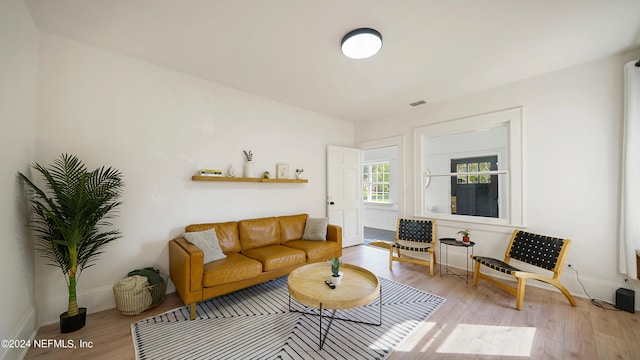 living room featuring light hardwood / wood-style floors