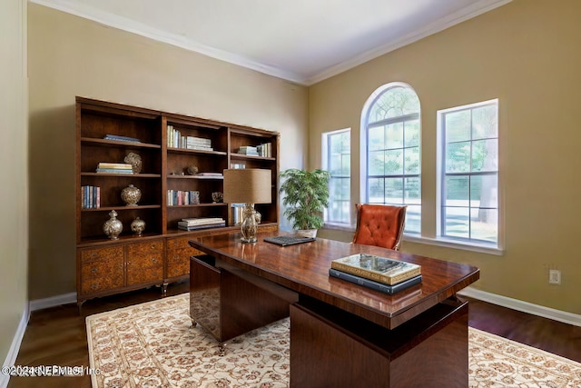 office area with ornamental molding and dark hardwood / wood-style floors