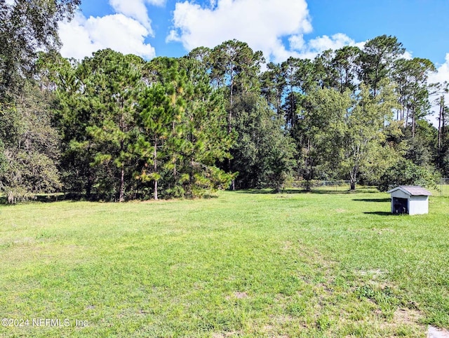 view of yard featuring a storage shed