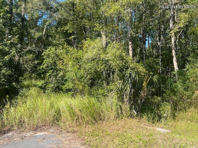 0 Old Dixie Hwy, Callahan FL, 32011 land for sale