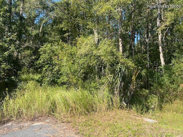 0 Old Dixie Hwy, Callahan, FL 32011 - photo 1