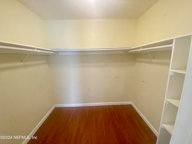 spacious closet featuring wood-type flooring