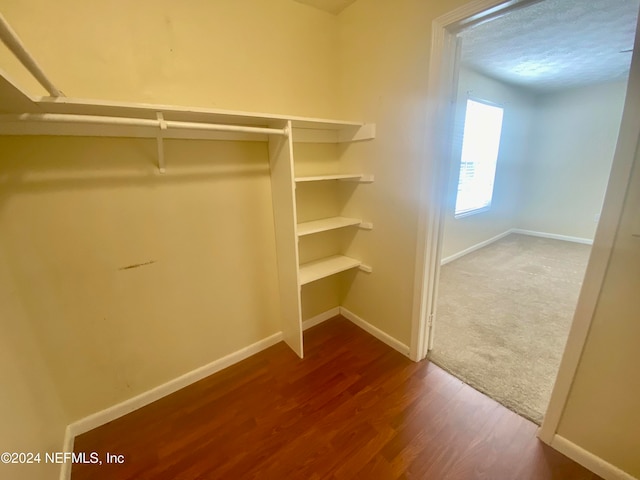 spacious closet with hardwood / wood-style flooring