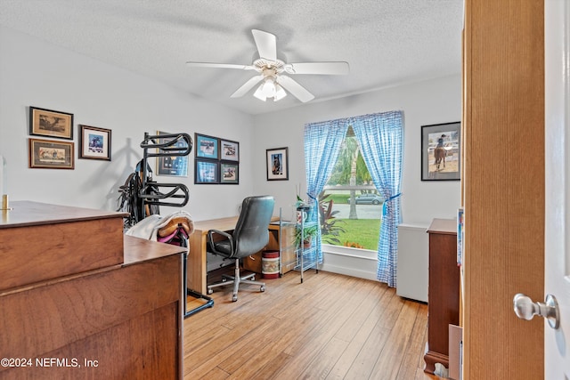 office space featuring a textured ceiling, light hardwood / wood-style floors, and ceiling fan