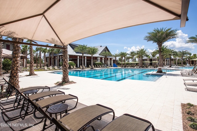 view of swimming pool with a patio area