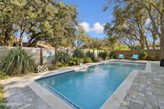 view of pool featuring a patio area