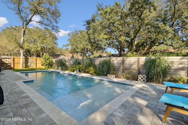 view of swimming pool featuring a patio area