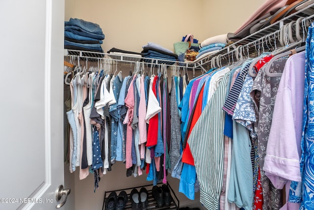 view of spacious closet