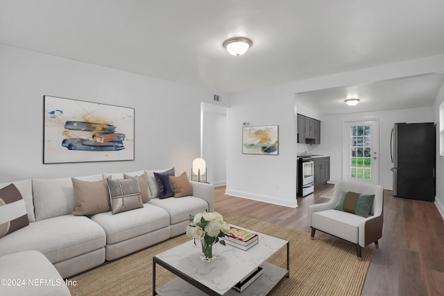 living room with wood-type flooring