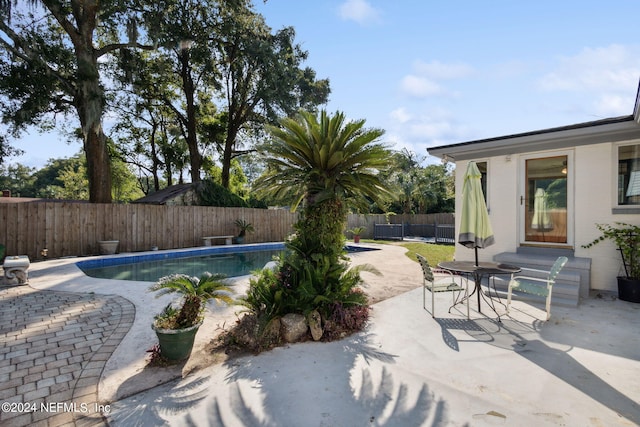 view of swimming pool with a patio area