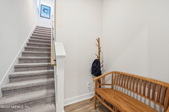 staircase with hardwood / wood-style flooring