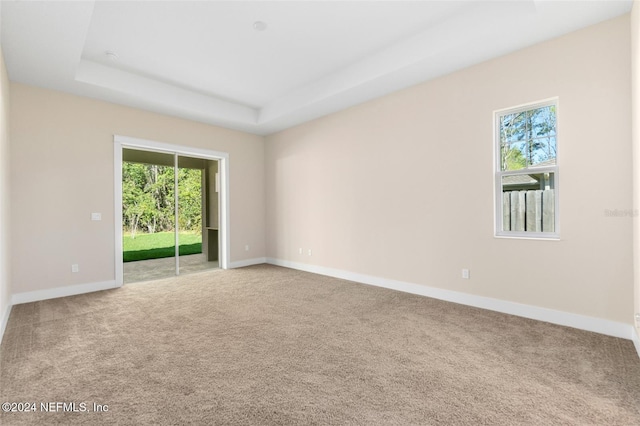 carpeted spare room featuring a raised ceiling