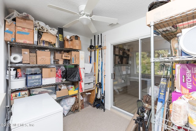 storage with ceiling fan