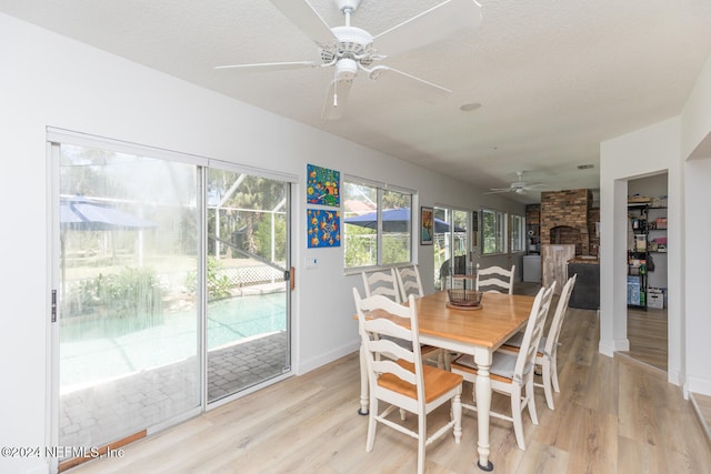 dining space featuring a wealth of natural light, a stone fireplace, light hardwood / wood-style floors, and ceiling fan