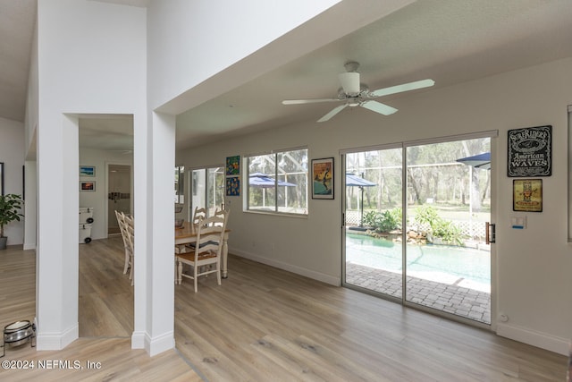 dining space with light hardwood / wood-style flooring and ceiling fan