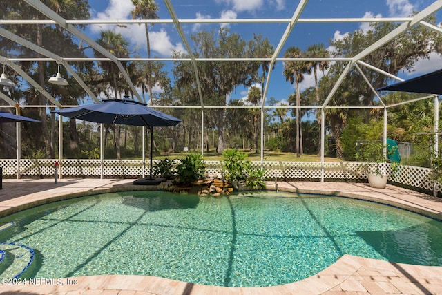 view of pool featuring a patio and a lanai