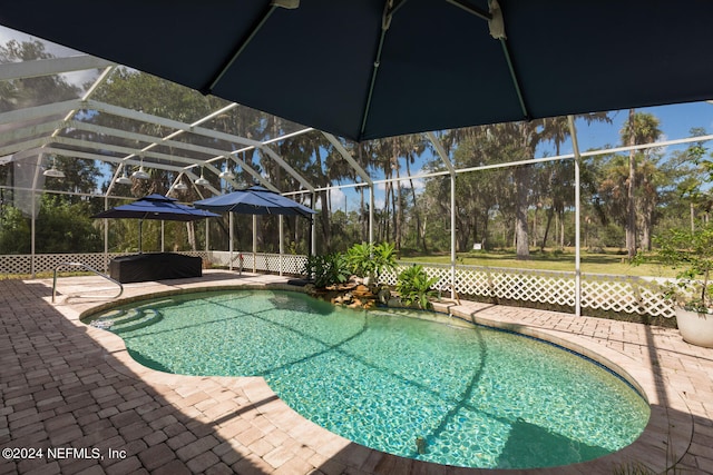 view of pool featuring a patio area and glass enclosure