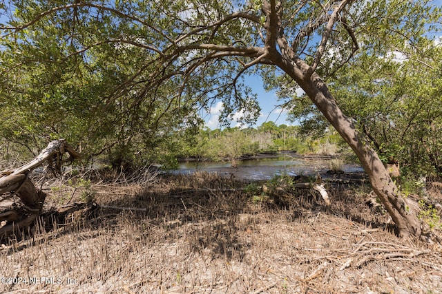 view of nature