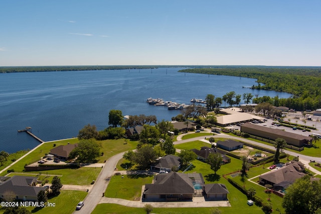 aerial view with a water view