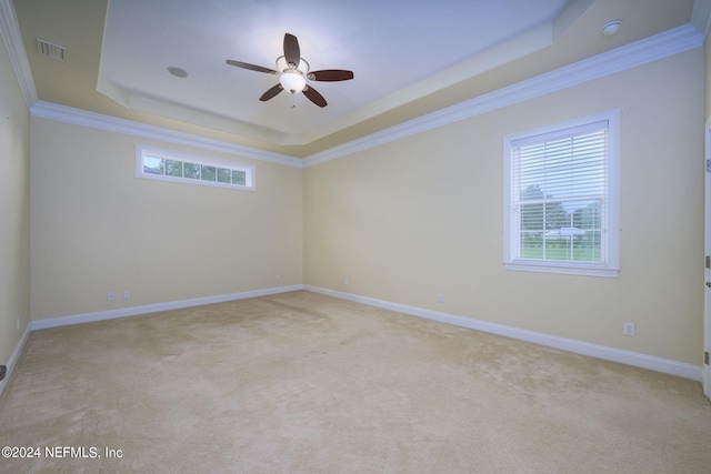 carpeted empty room with ceiling fan, a raised ceiling, and ornamental molding