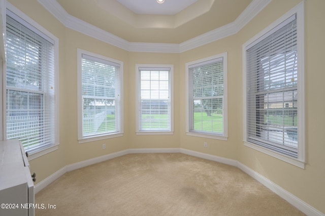 carpeted empty room featuring crown molding