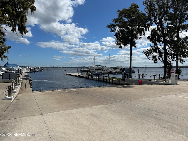 dock area with a water view