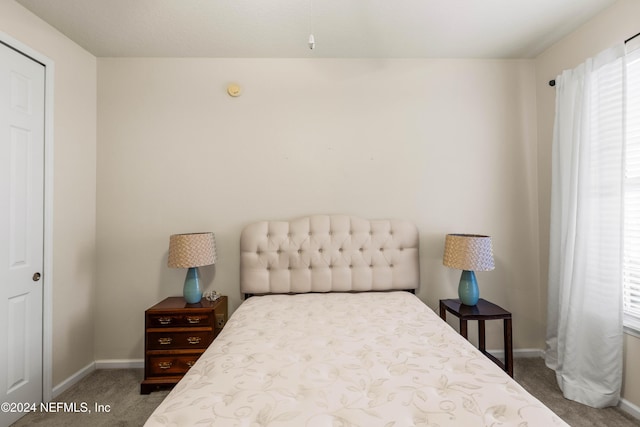 9831 Del Webb Pkwy Unit 2308, Jacksonville, FL 32256 - carpeted bedroom featuring multiple windows