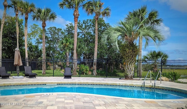 view of pool with a patio area