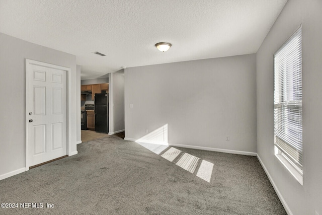 spare room with carpet flooring and a textured ceiling