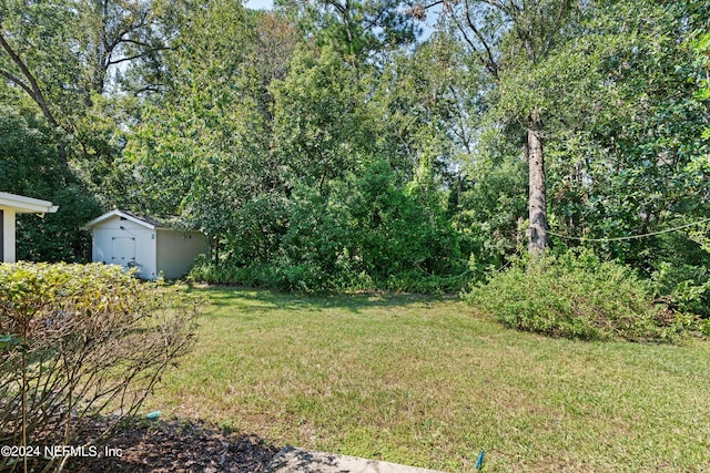 view of yard featuring a storage shed