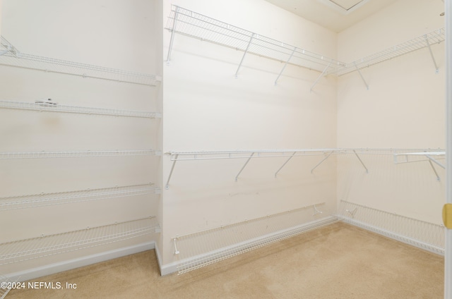 walk in closet featuring carpet