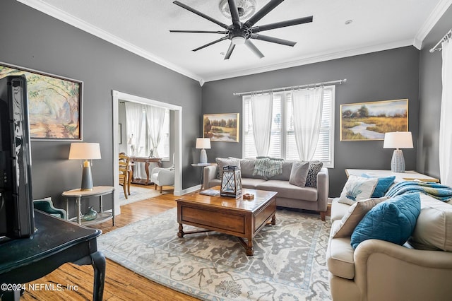 living room with light hardwood / wood-style floors, crown molding, and ceiling fan