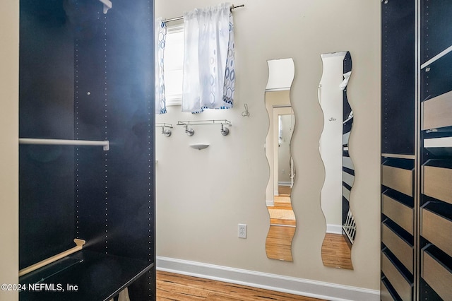 spacious closet featuring wood-type flooring