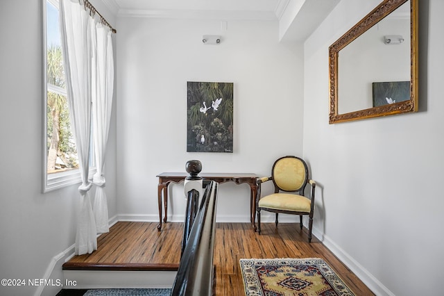 office space featuring hardwood / wood-style flooring and ornamental molding