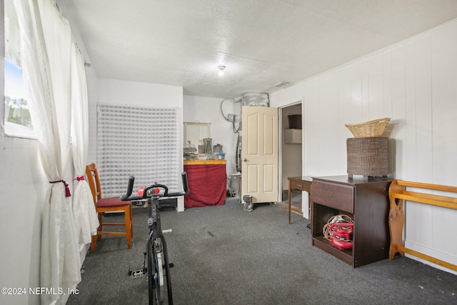 misc room featuring ornamental molding and dark colored carpet