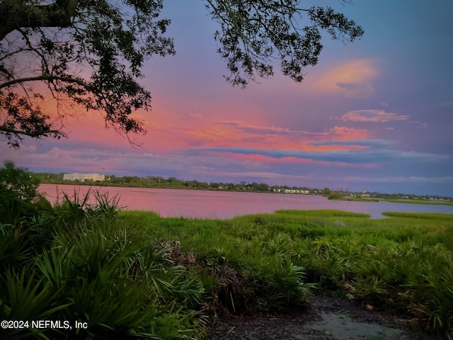 property view of water