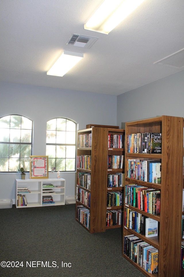 miscellaneous room with visible vents and carpet flooring