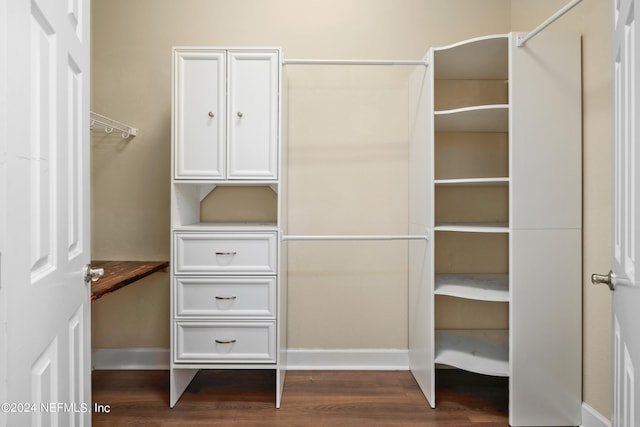 spacious closet featuring dark wood-type flooring